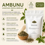 Shampoing végétal à l’Ambunu Kaylabé pour cheveux crépus secs, conçu pour nettoyer en douceur tout en préservant leur souplesse